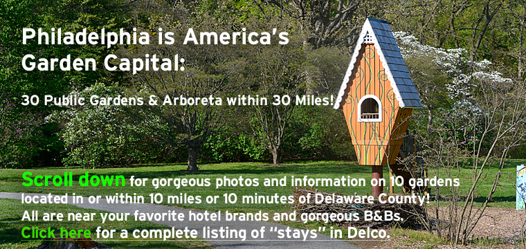 http://delcostays.com