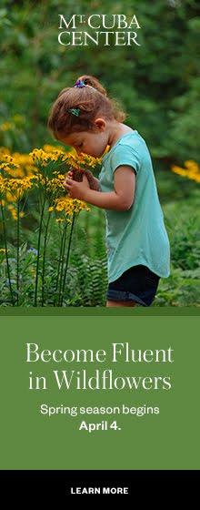 One of the Brandywine Valley's Secret Gardens